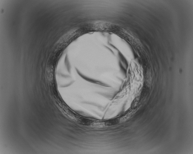 X0000086110413200704091423