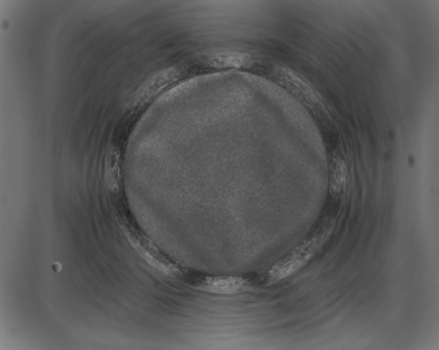 X0000086110414200704091423