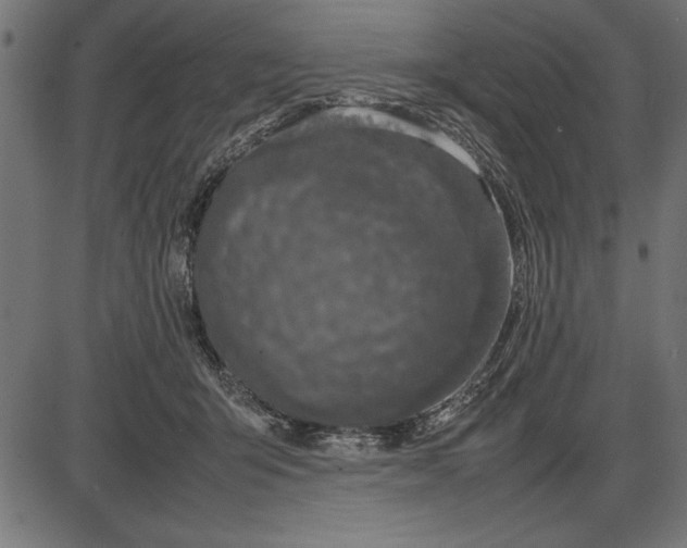 X0000086110415200704091423