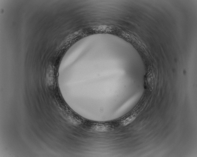 X0000086110416200704091423