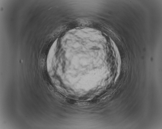 X0000086110417200704091423