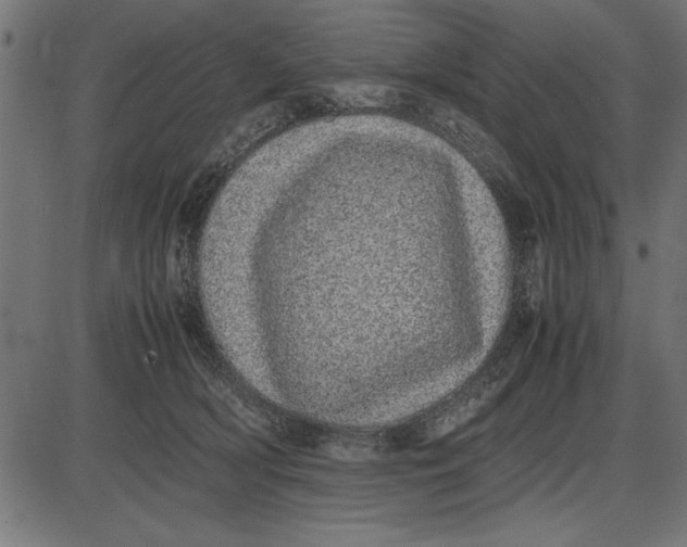 X0000086110418200704091423