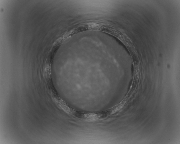 X0000086110419200704091423