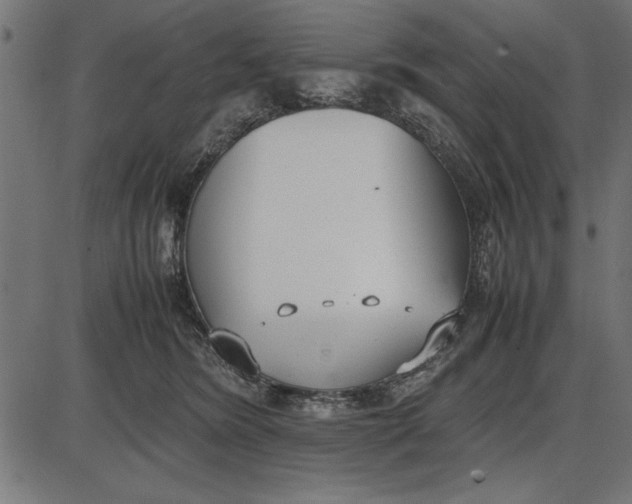 X0000086110420200704091423