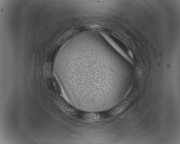 X0000086110421200704091423