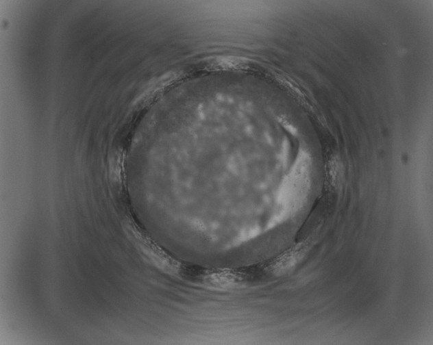 X0000086110423200704091423