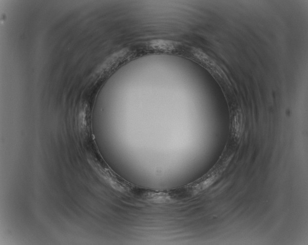 X0000086110424200704091423