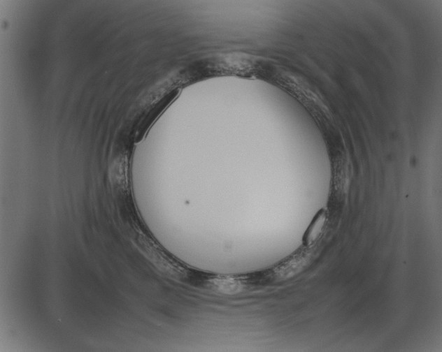 X0000086110425200704091423