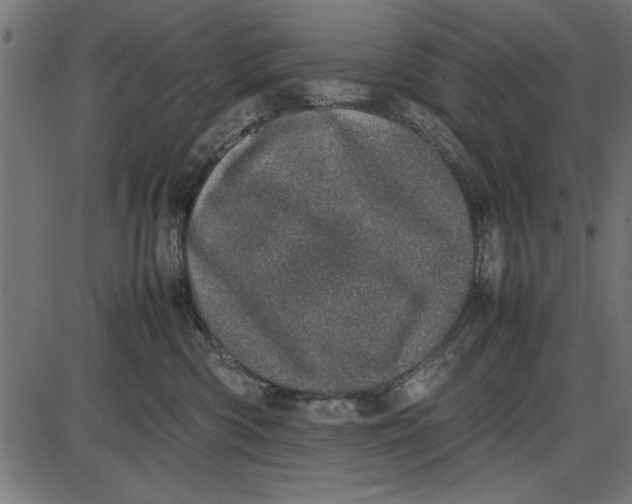 X0000086110426200704091423