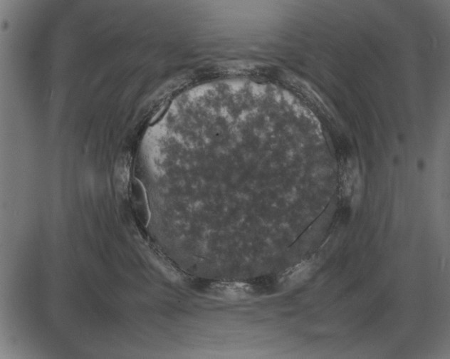 X0000086110427200704091423