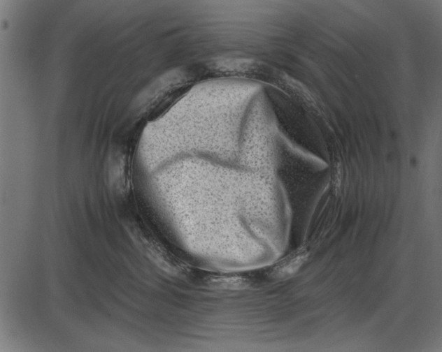 X0000086110428200704091423