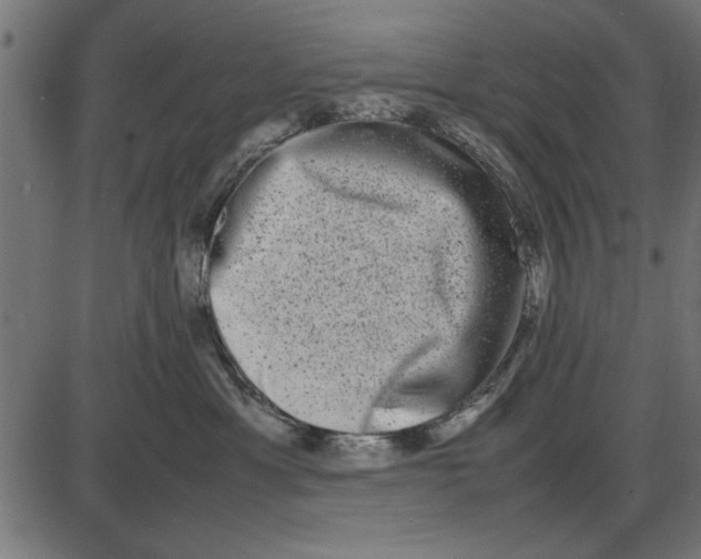 X0000086110429200704091423