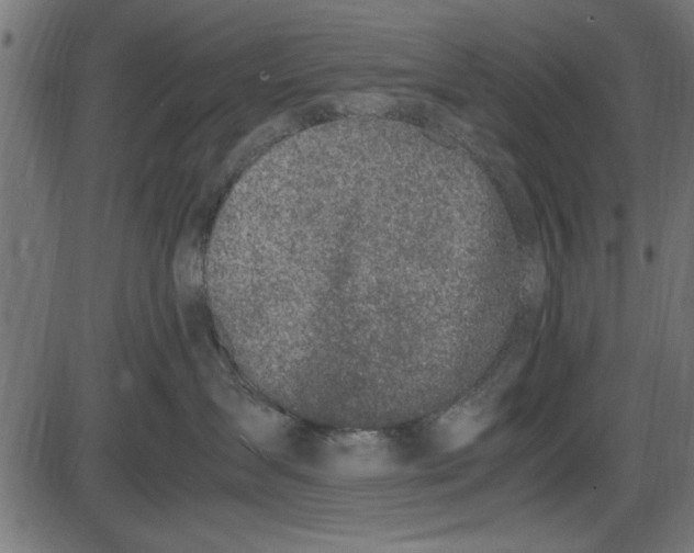 X0000086110431200704091423