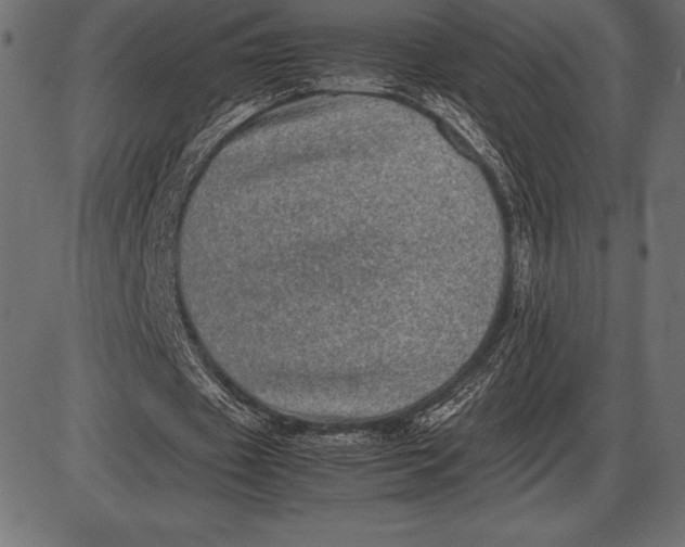 X0000086110433200704091422