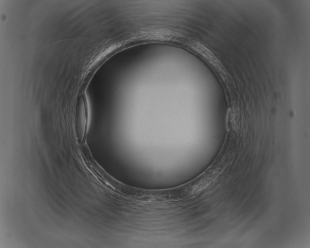 X0000086110434200704091422