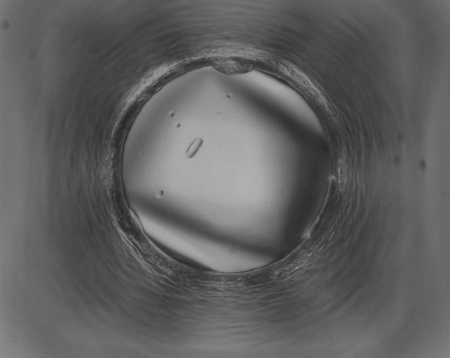 X0000086110436200704091422