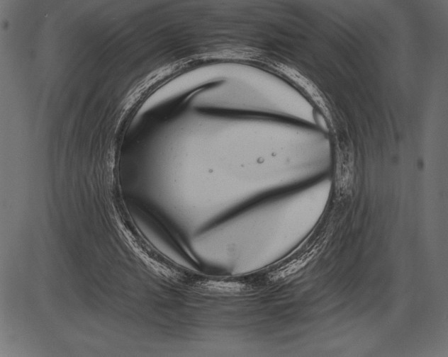 X0000086110437200704091422