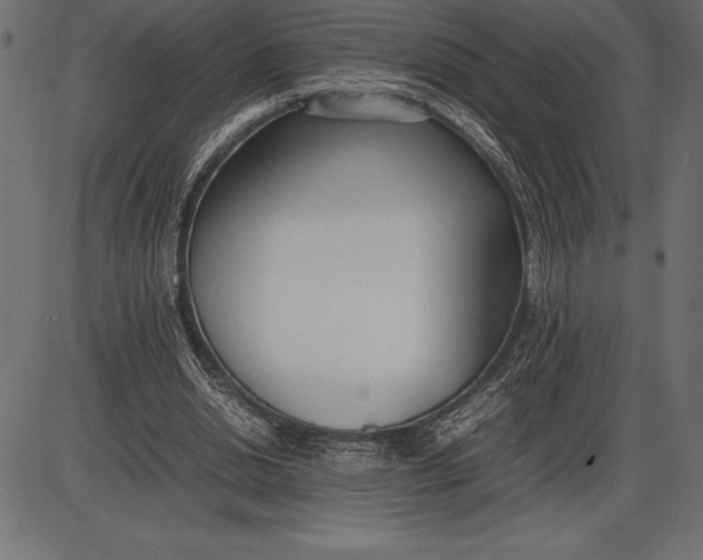 X0000086110438200704091422