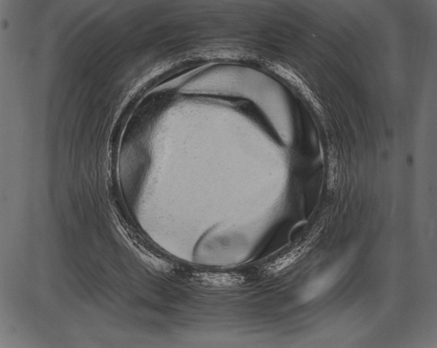 X0000086110439200704091422