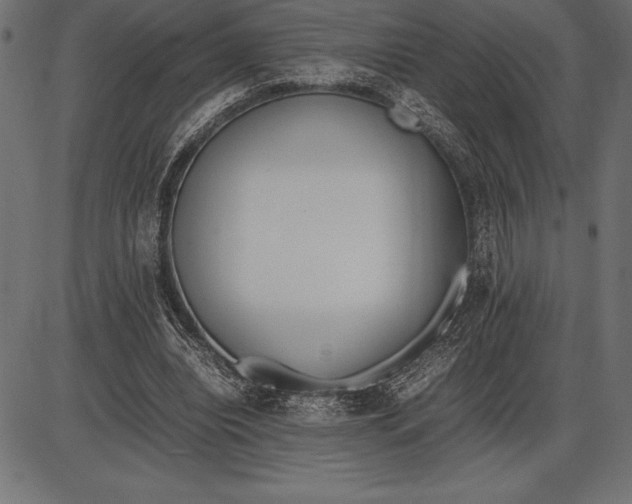 X0000086110440200704091422