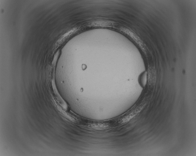 X0000086110445200704091422