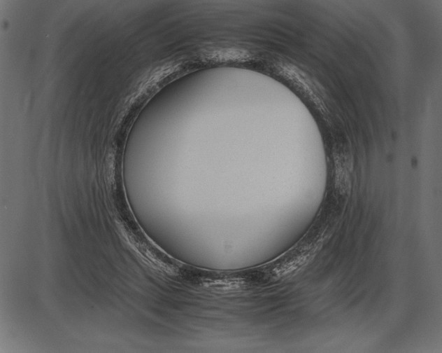 X0000086110447200704091422