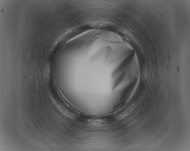 X0000086110448200704091422