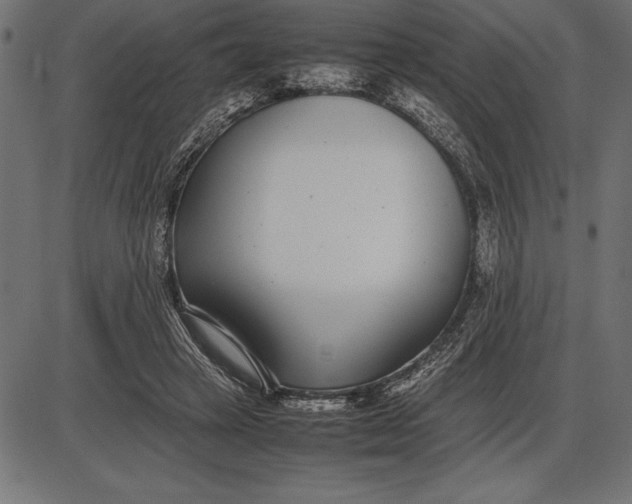 X0000086110449200704091422