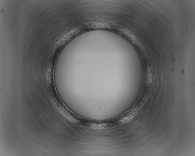 X0000086110450200704091422