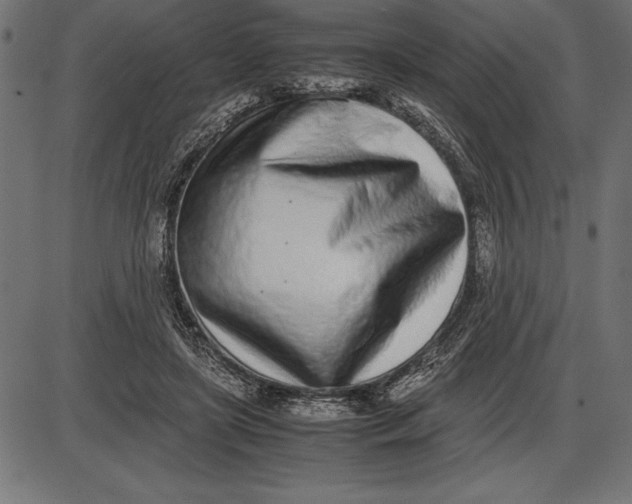 X0000086110451200704091422