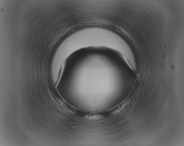 X0000086110452200704091422