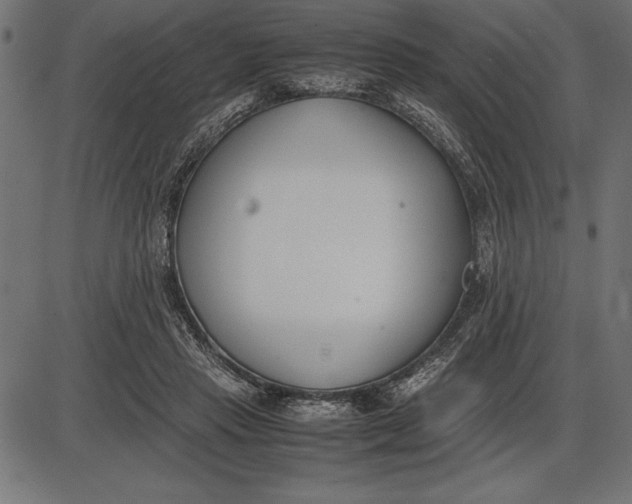 X0000086110453200704091423