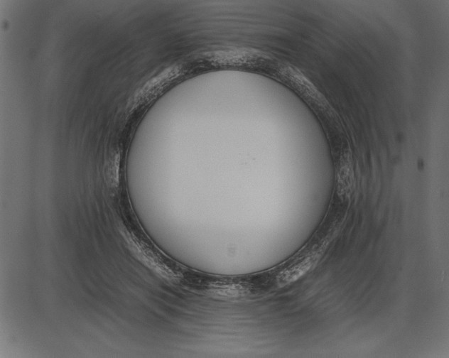 X0000086110454200704091423