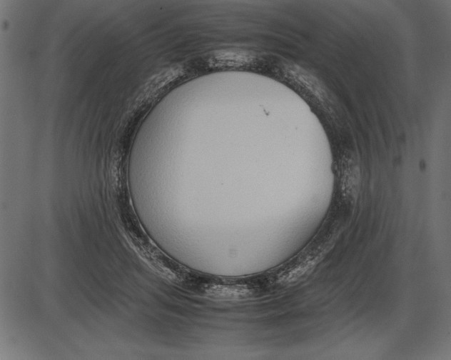 X0000086110455200704091423