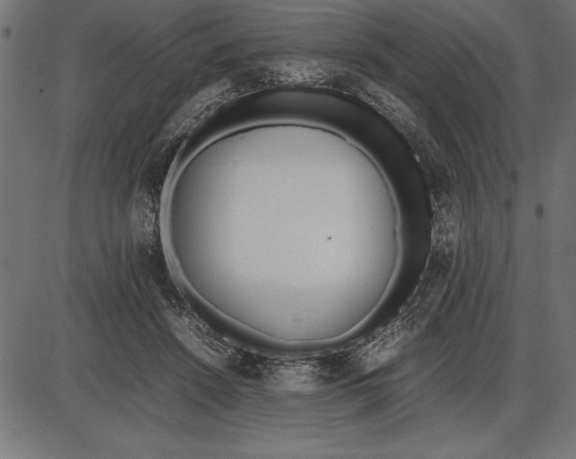 X0000086110456200704091423