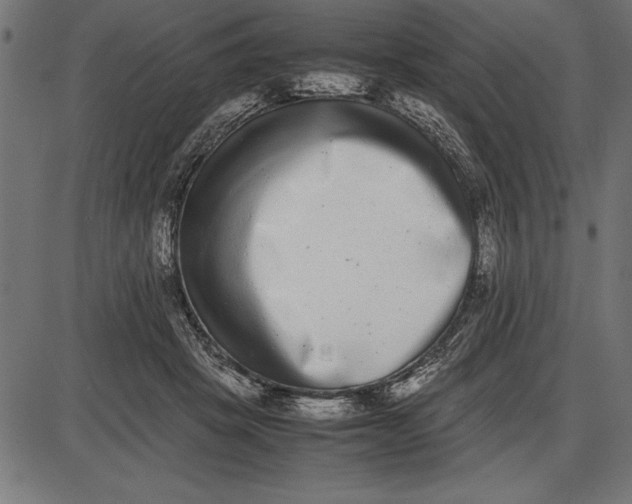 X0000086110457200704091423