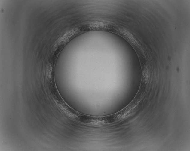 X0000086110458200704091423