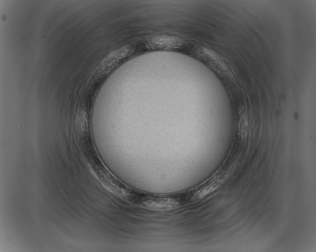 X0000086110459200704091423