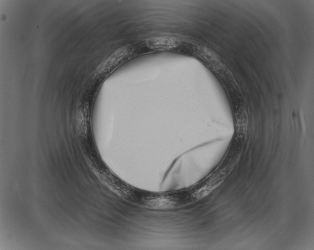 X0000086110460200704091423