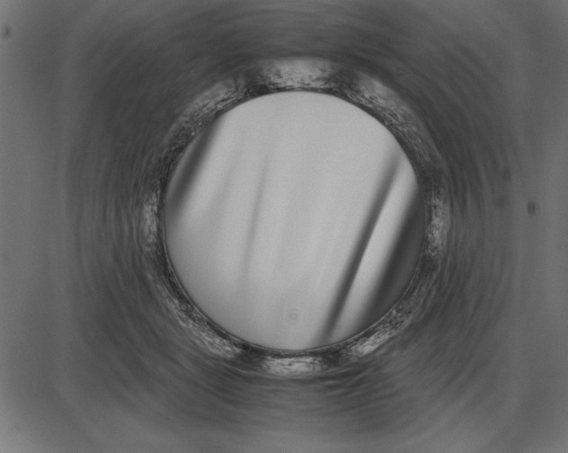 X0000086110461200704091423