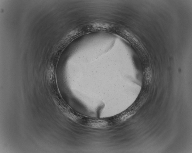 X0000086110463200704091423