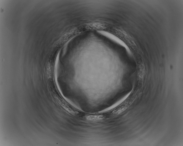 X0000086110465200704091423