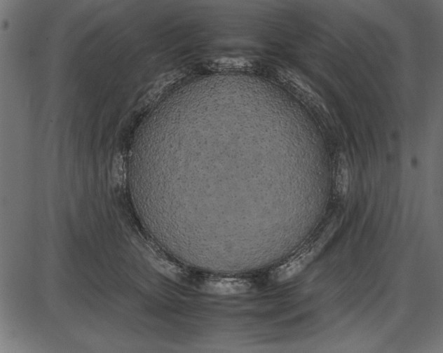 X0000086110467200704091423