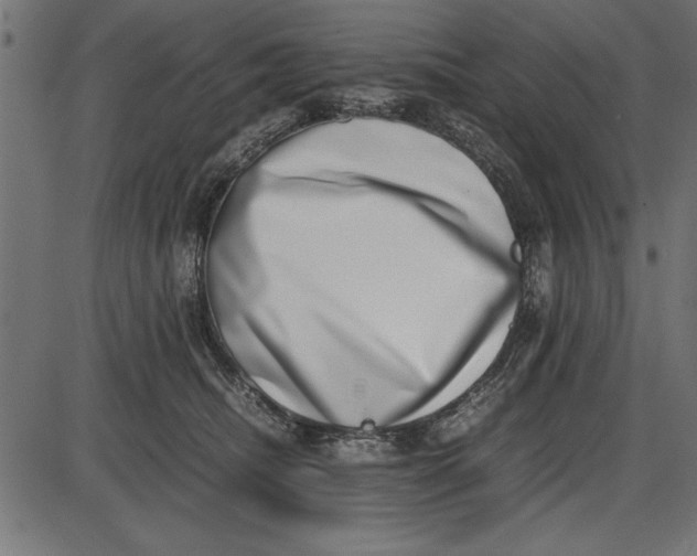 X0000086110468200704091423