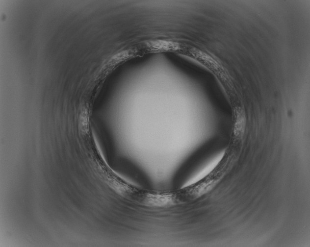 X0000086110469200704091423