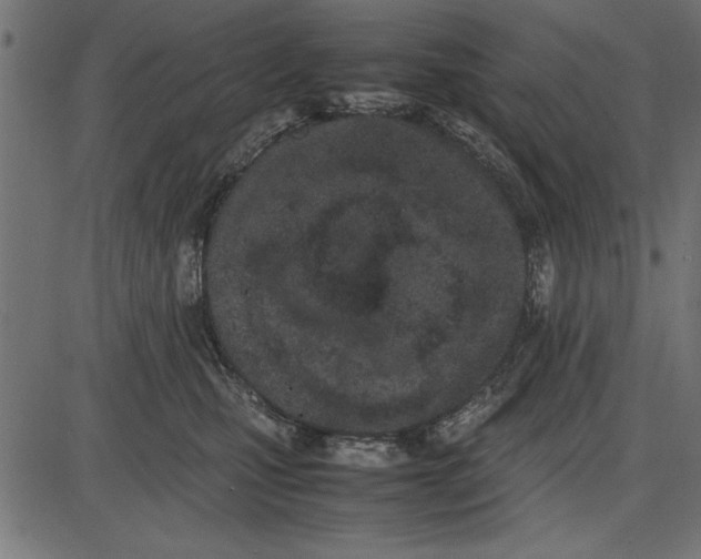 X0000086110471200704091423