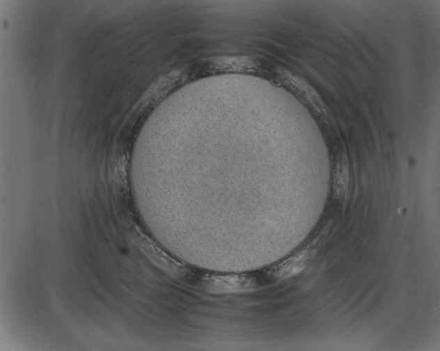 X0000086110473200704091423