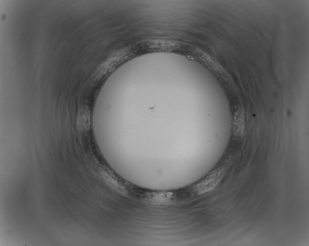 X0000086110474200704091423