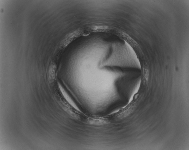 X0000086110475200704091423