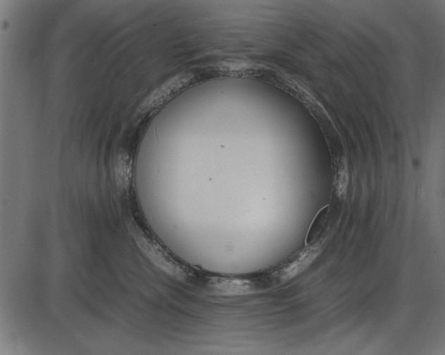 X0000086110476200704091423